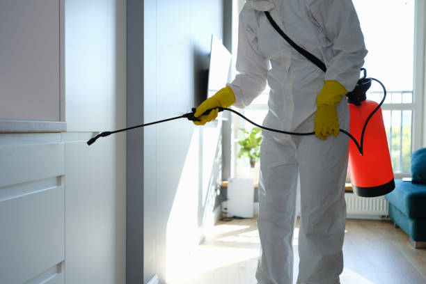 Best Residential Mold Remediation in Fort Drum, NY